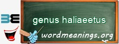 WordMeaning blackboard for genus haliaeetus